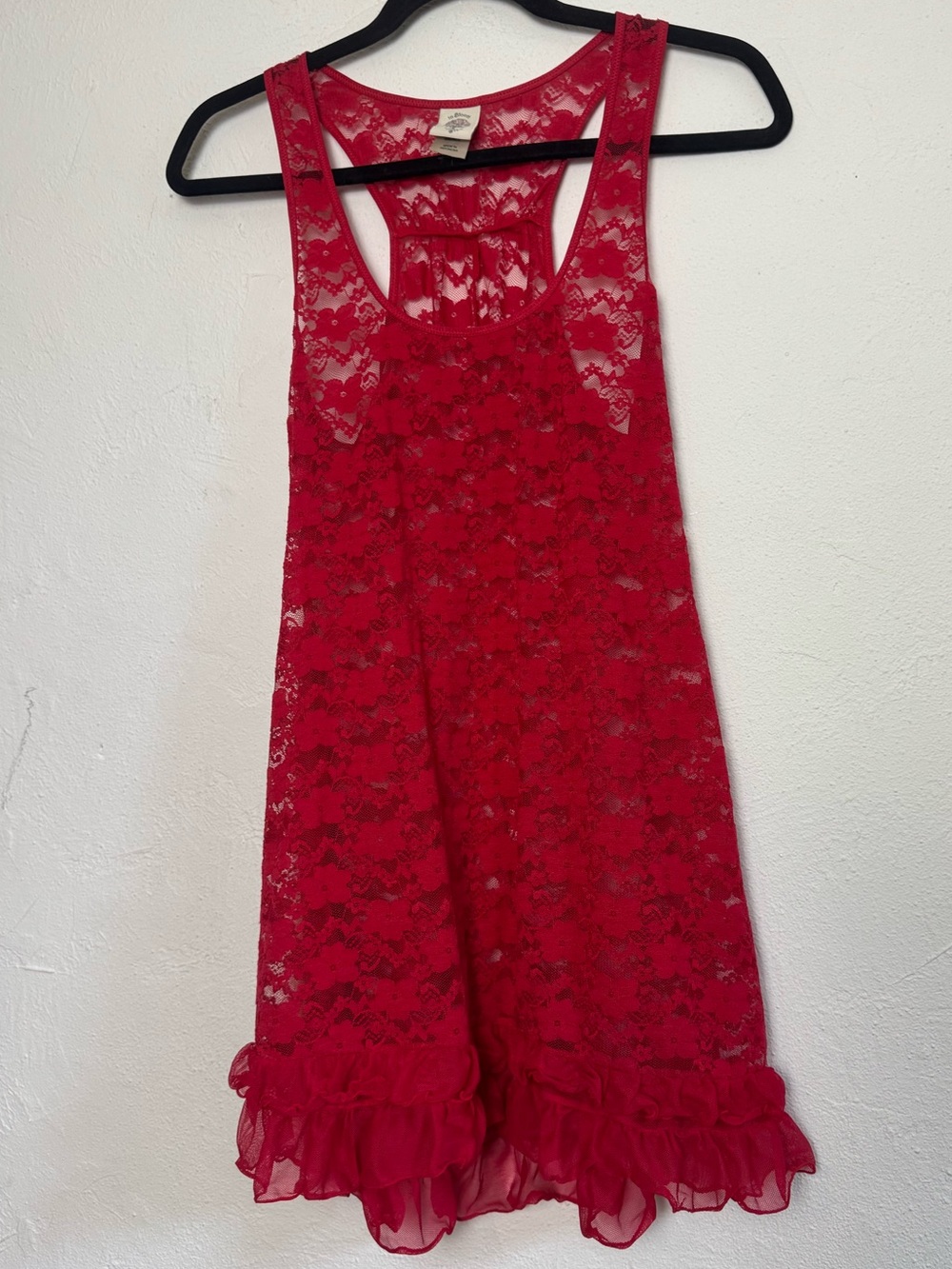 In Bloom Lipstick Red Lace Sheer Mini Dress